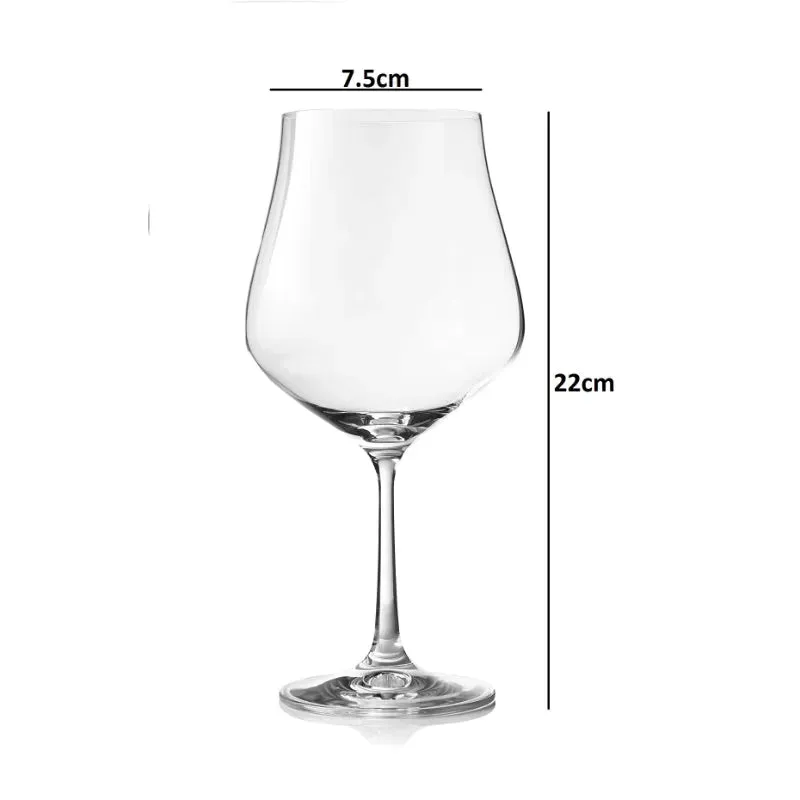 Akari Crystal Wine & Champagne Glasses | 600ml | Set of 6