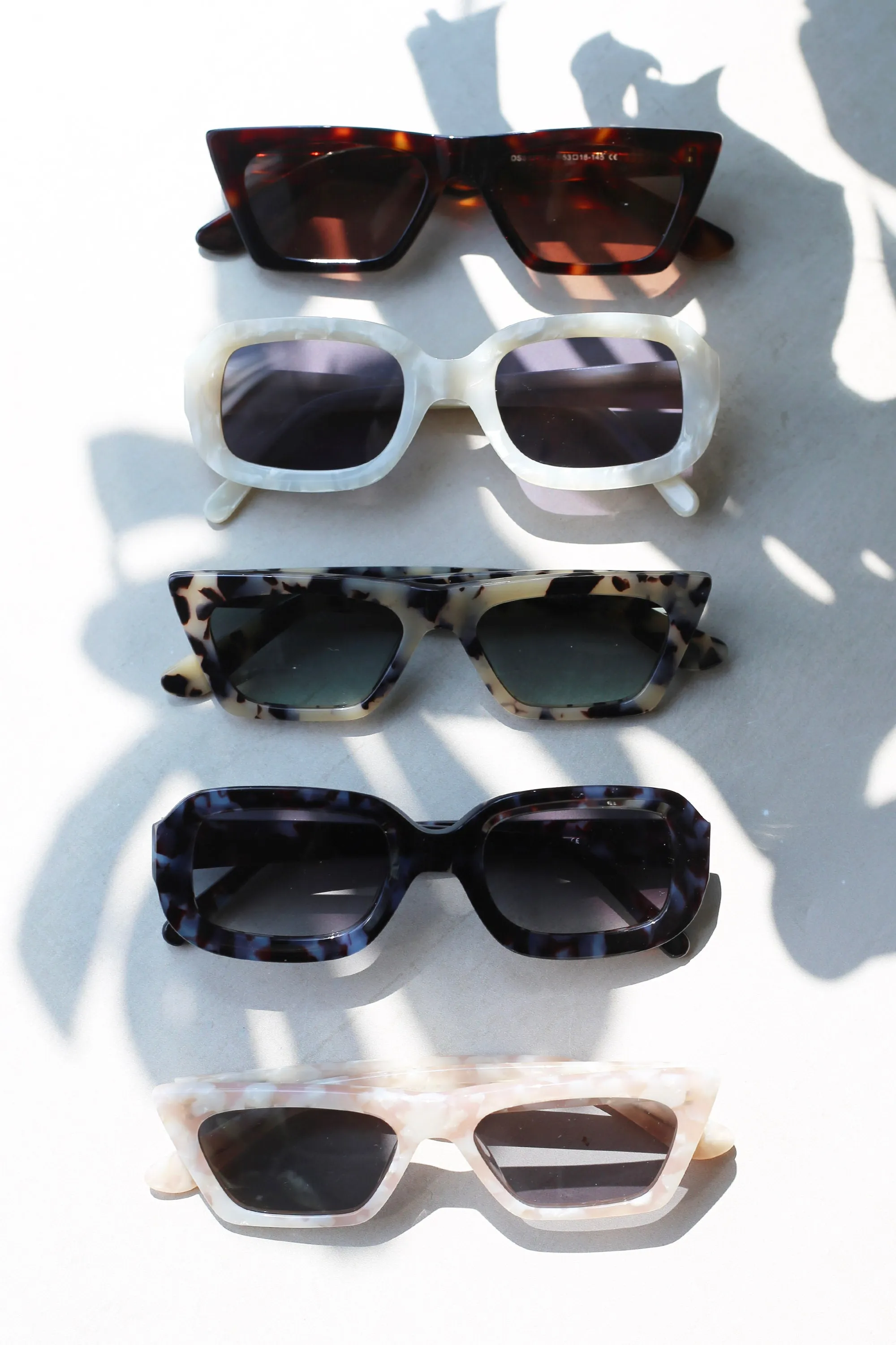 Oyster Sunglasses