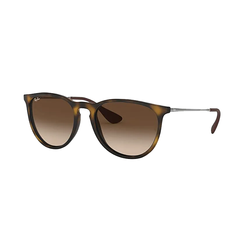 Ray-Ban Women's Erika Sunglasses